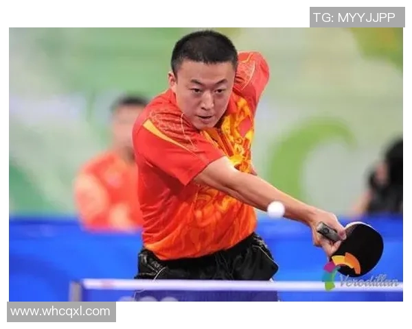 深入分析武汉乒乓球队防守战术的独特魅力与实战应用