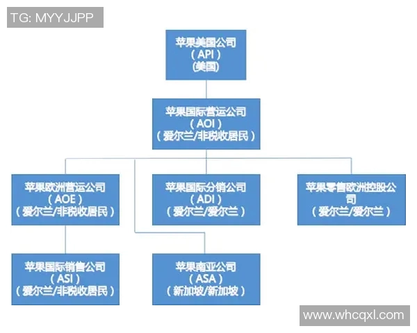赛后分析：西安网球队与杭州网球队的协作与战术对比探讨