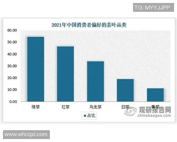 重庆排球队状态分析与表现评估的全面数据解读与趋势预测