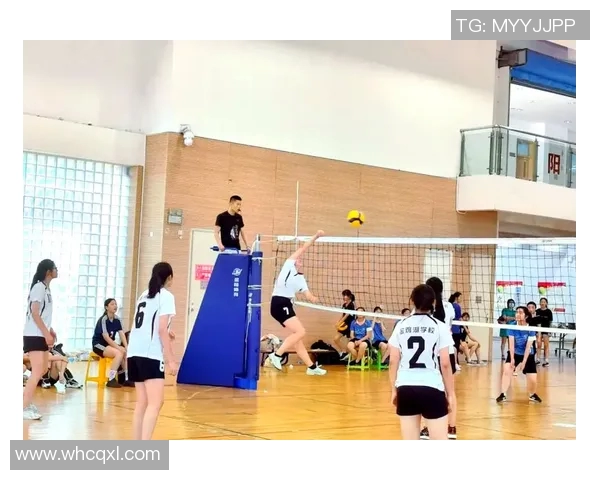 全国锦标赛特别报道：成都排球队拼搏精神与荣耀之路的真实写照