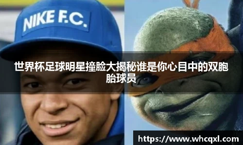 星空综合股份(中国)